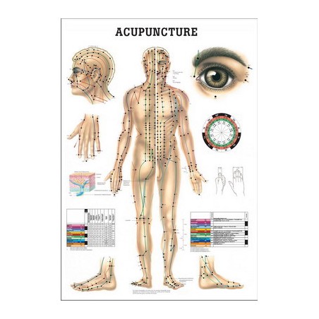 Akupunktiopisteet, kartta